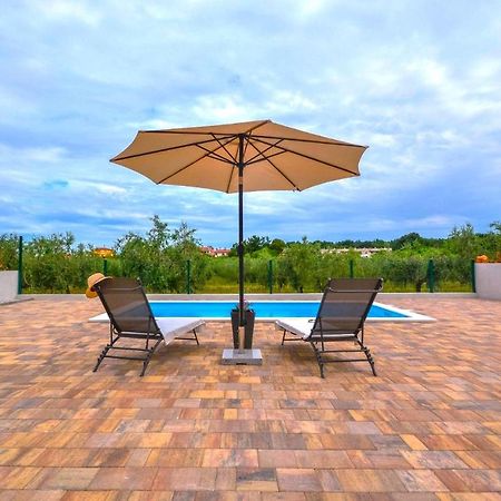 Apartment Kaplja Novigrad Istria Εξωτερικό φωτογραφία