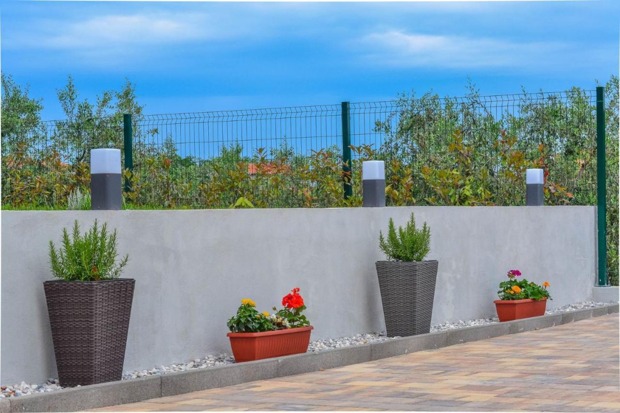 Apartment Kaplja Novigrad Istria Εξωτερικό φωτογραφία